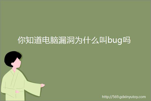 你知道电脑漏洞为什么叫bug吗