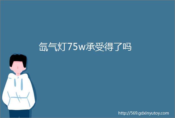 氙气灯75w承受得了吗